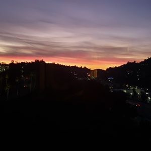 Meet your Posher, Wilda